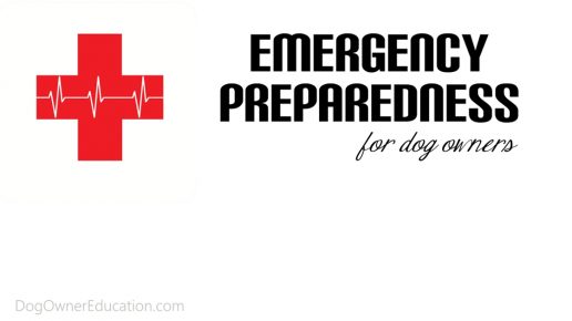 Disaster Preparedness For Your Dogs