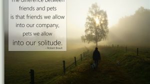 Word Art – Pets In Our Solitude